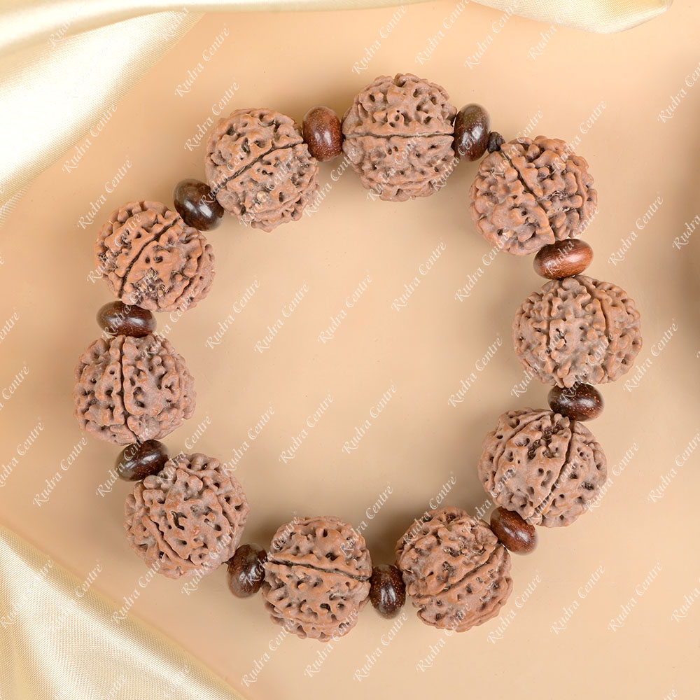 6 Mukhi Nepali Rudraksha x Red Sandalwood Bracelet