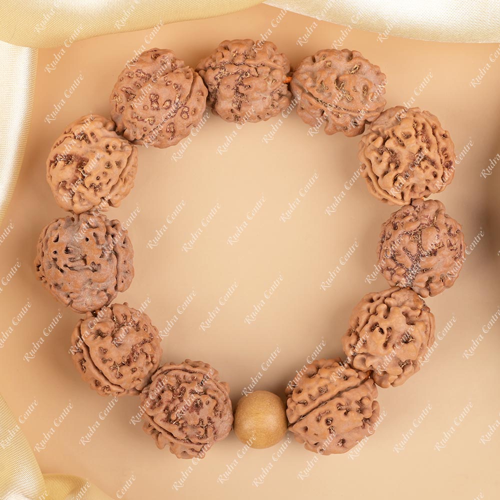 Buy 3 Mukhi Nepali Rudraksha Bracelet from Rudra Centre (Rudraksha Ratna) at reasonable prices.