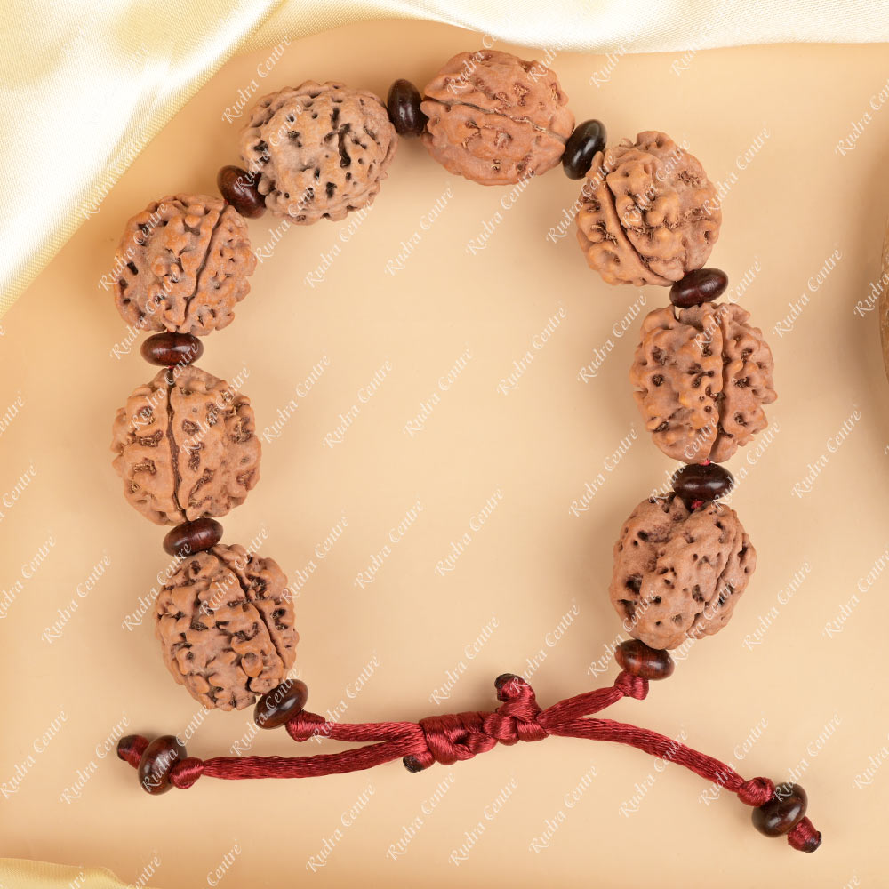Buy 3 Mukhi Nepali Rudraksha x Red Sandal Adjustable Bracelet from Rudra Centre (Rudraksha Ratna) at reasonable prices.