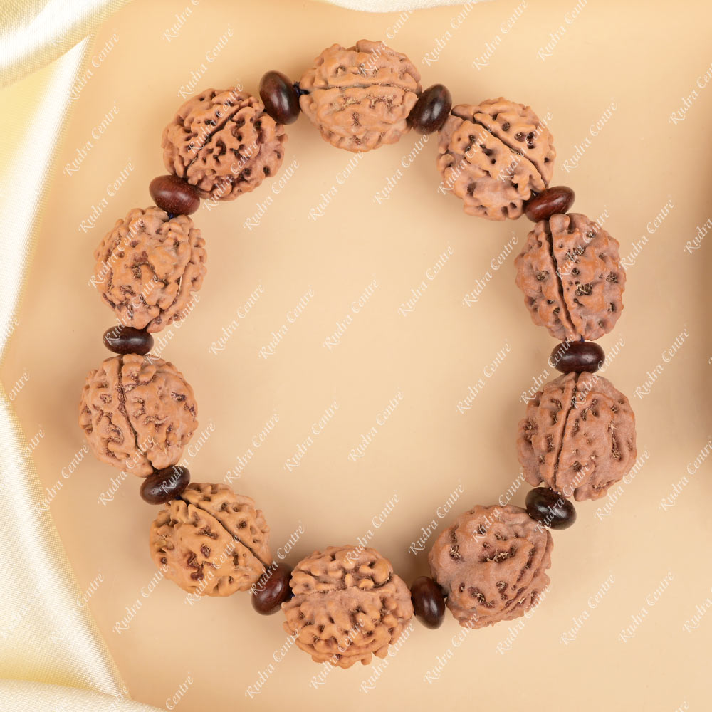 Buy 3 Mukhi Nepali Rudraksha x Red Sandalwood Bracelet from Rudra Centre (Rudraksha Ratna) at reasonable prices.