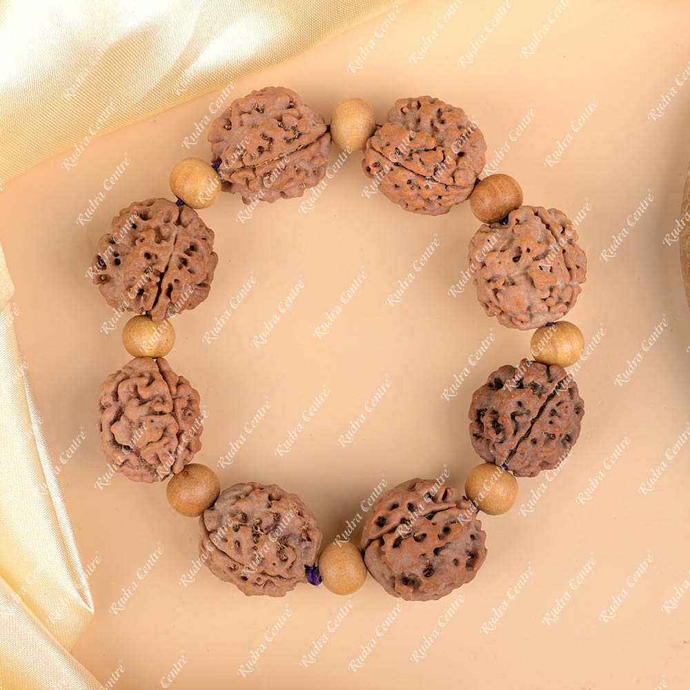 3 Mukhi Nepali Rudraksha x White Sandal Bracelet