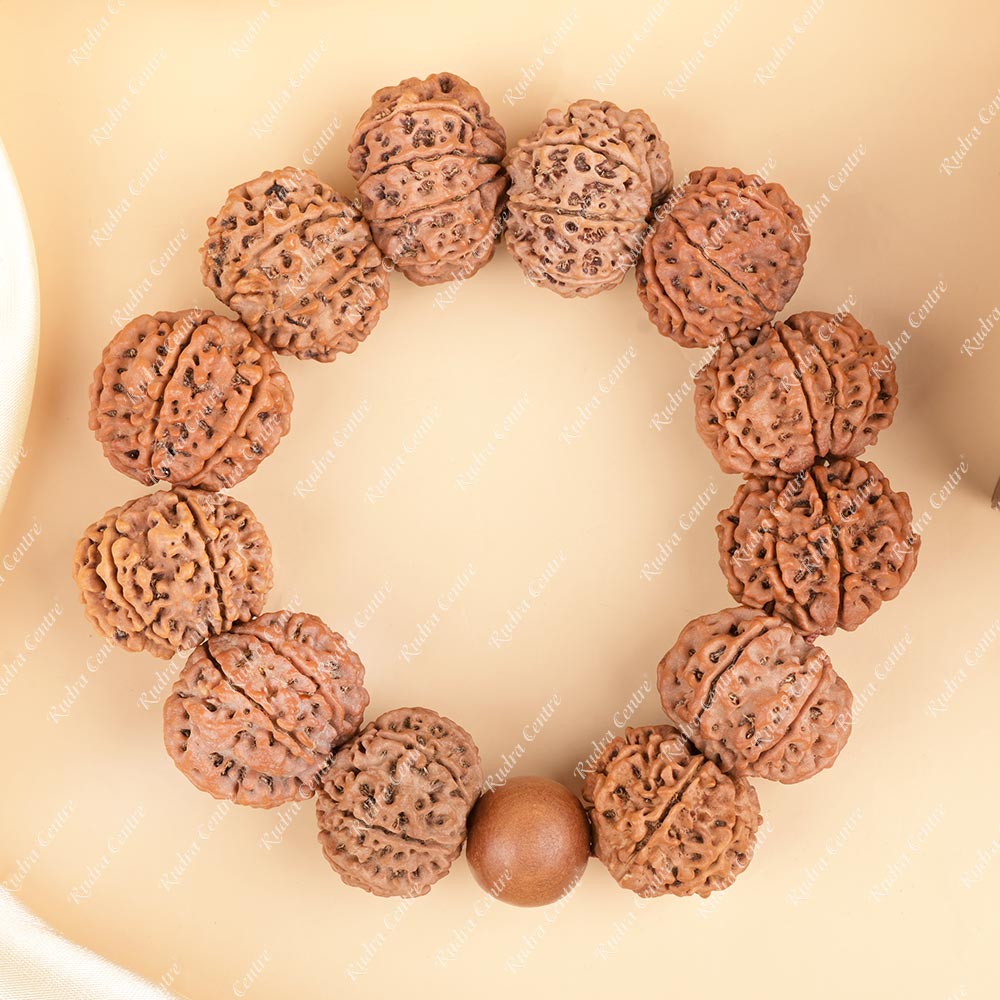 8 Mukhi Nepali Rudraksha Bracelet