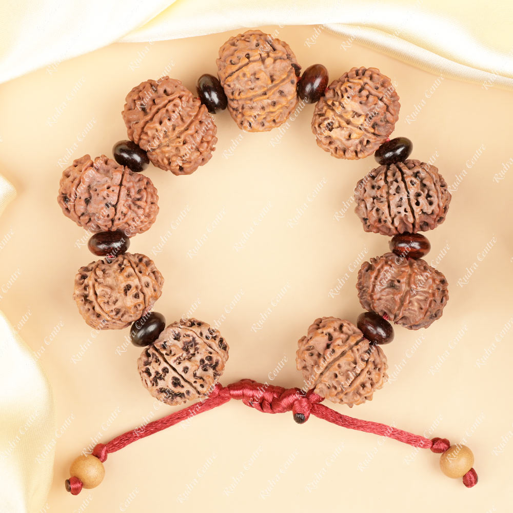 8 Mukhi Nepali Rudraksha x Red Sandal Adjustable Bracelet