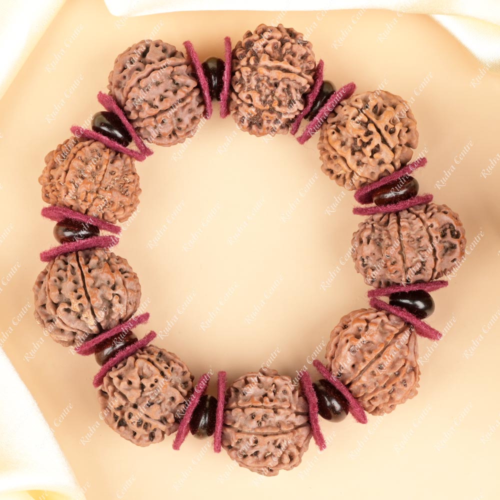 8 Mukhi Nepali Rudraksha x Red Sandal & Woolen Spacers Bracelet