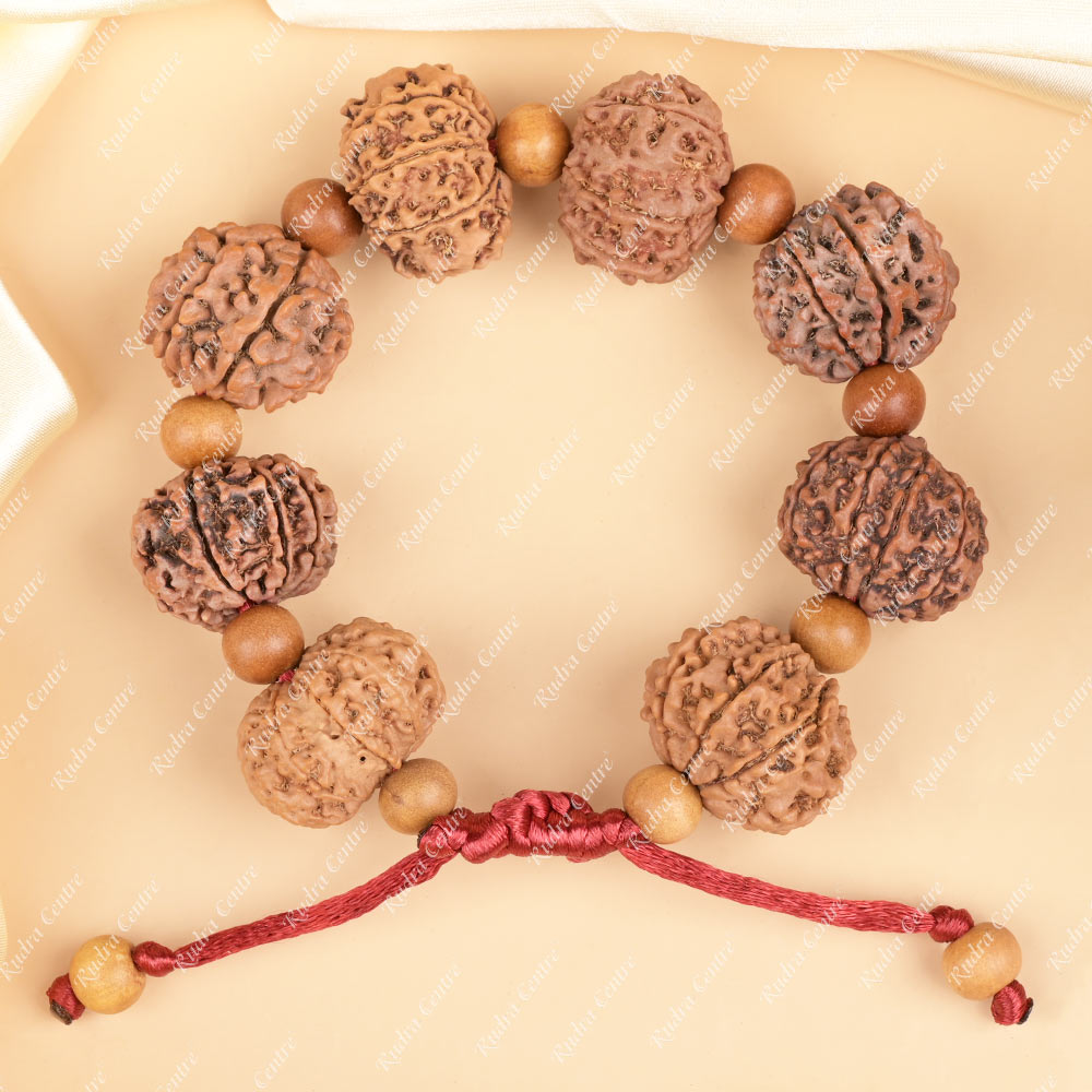 8 Mukhi Nepali Rudraksha x White Sandal Adjustable Bracelet