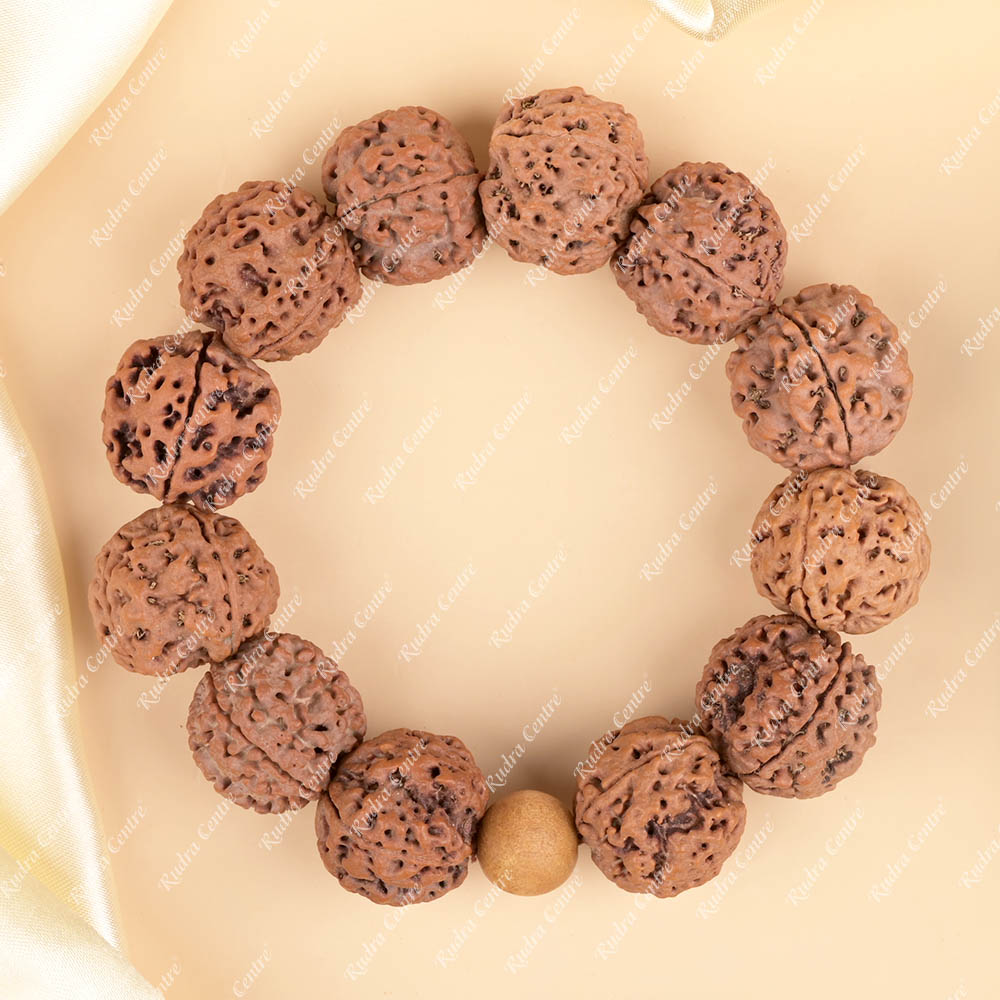4 Mukhi Nepali Rudraksha Bracelet