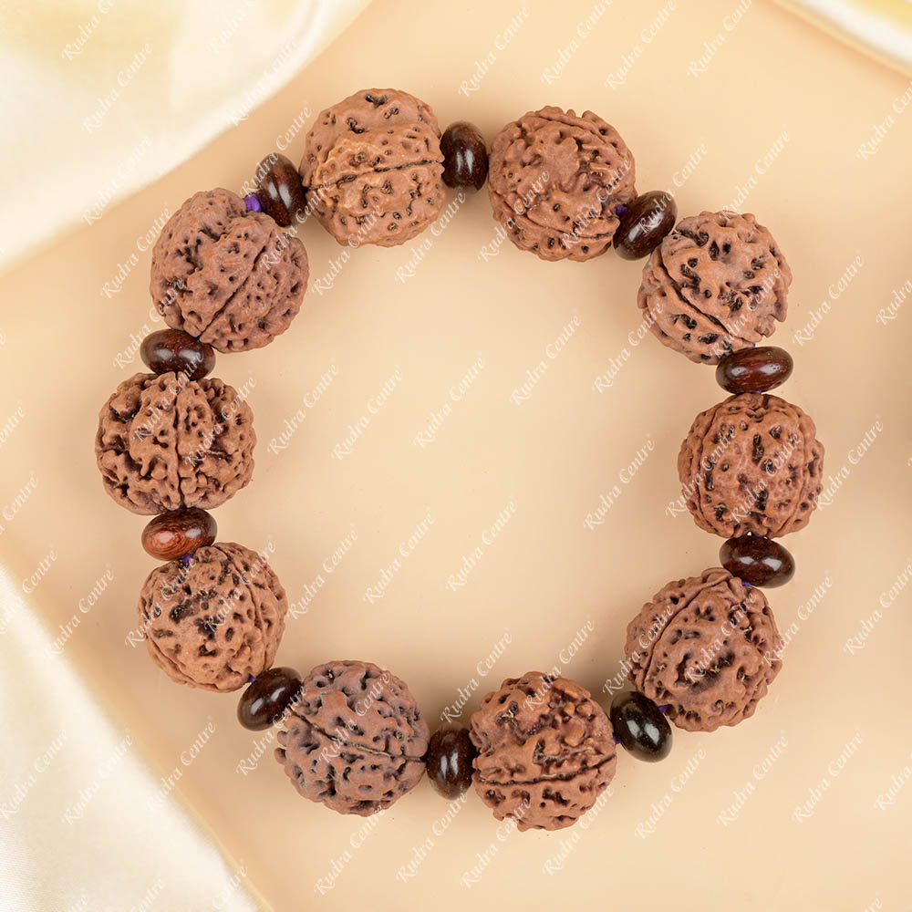 4 Mukhi Nepali Rudraksha x Red Sandalwood Bracelet
