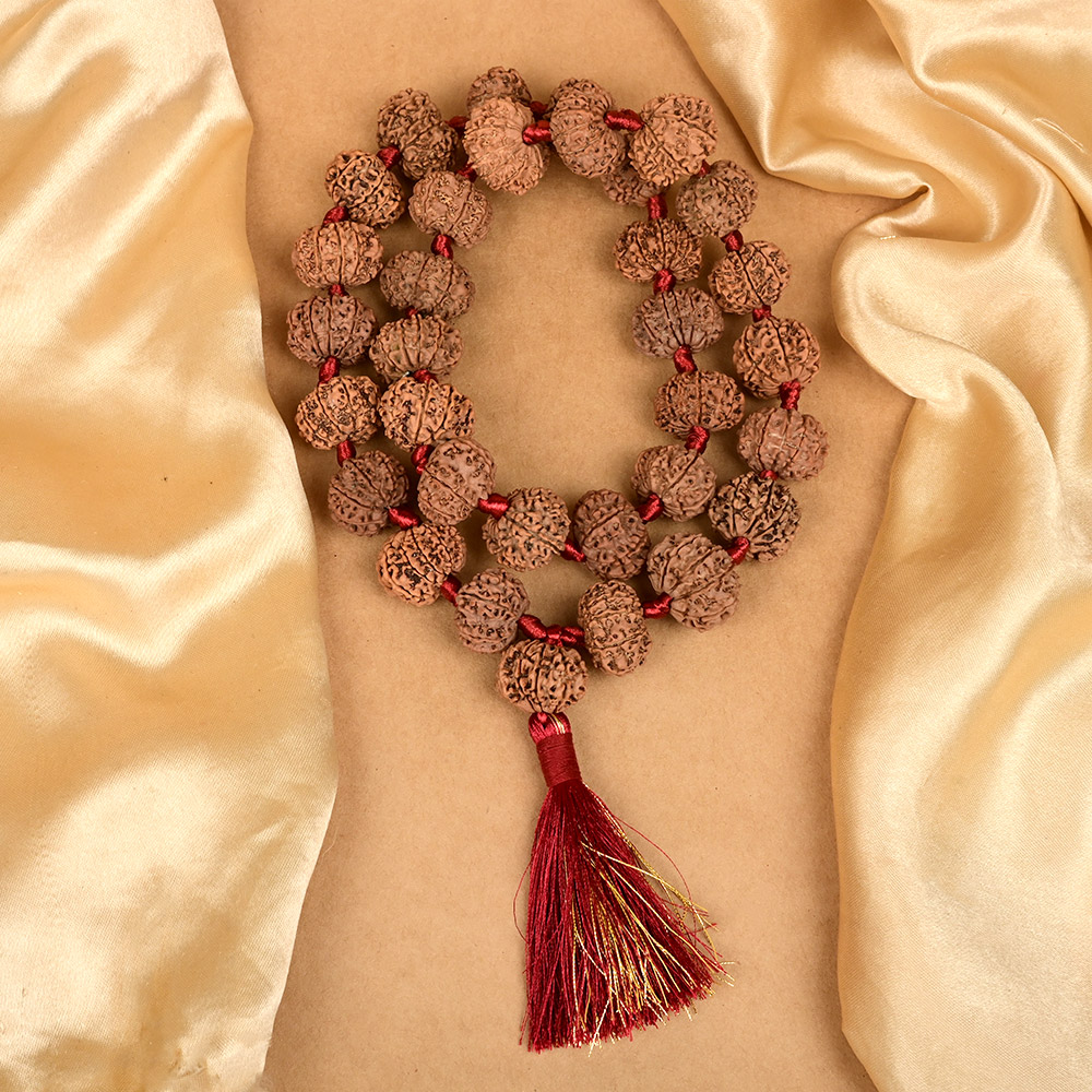 12 Mukhi Nepali Rudraksha Kantha Mala