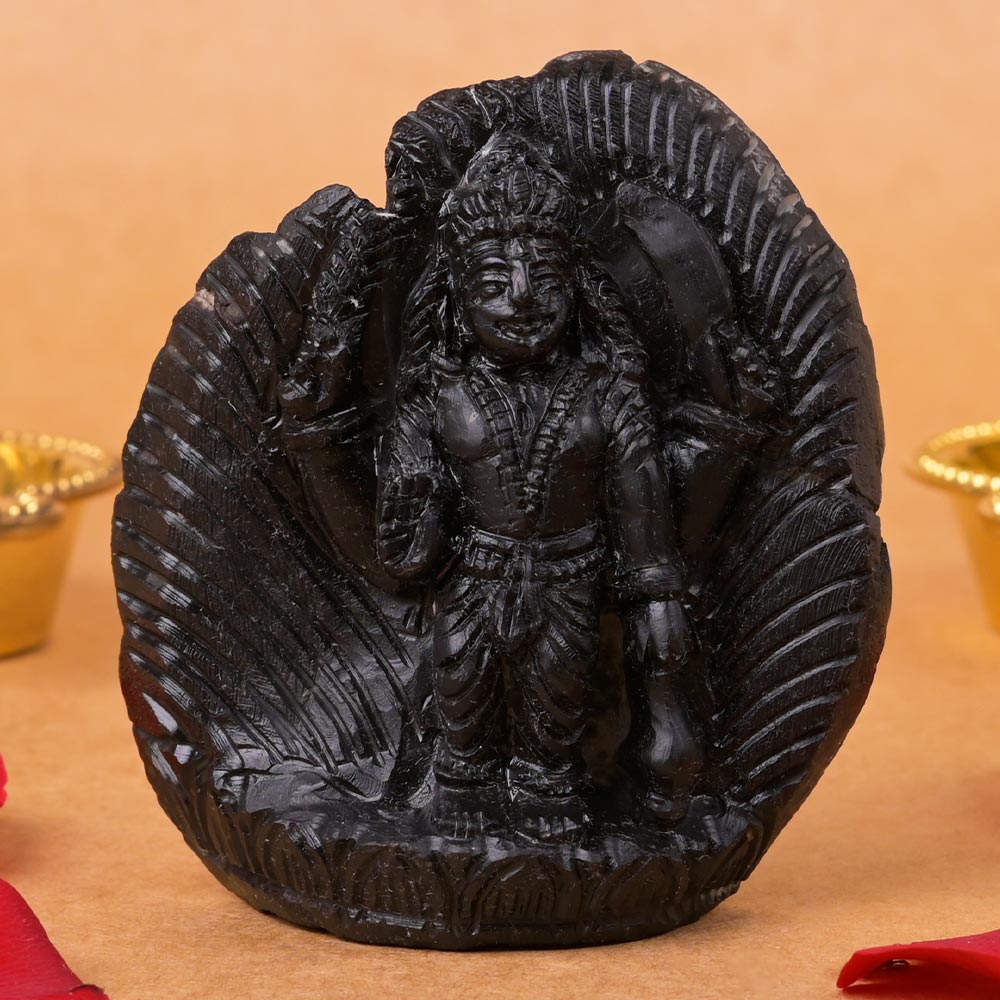Vishnu Shaligram Murti