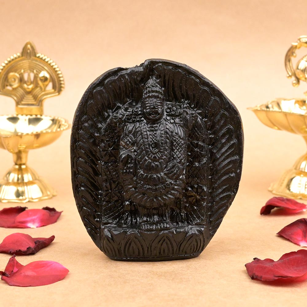 Lord Venkateshwara Shaligram Murti