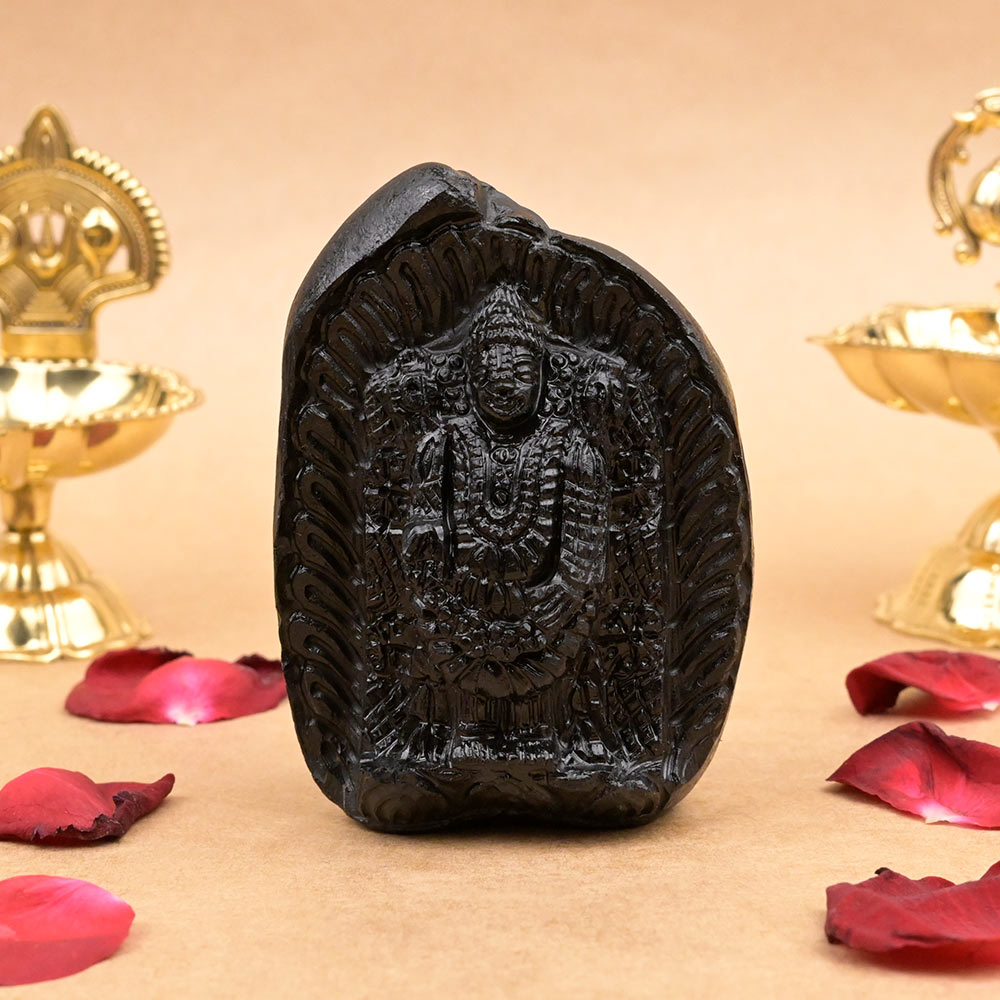 Tirupati Balaji Shaligram Murti XVI