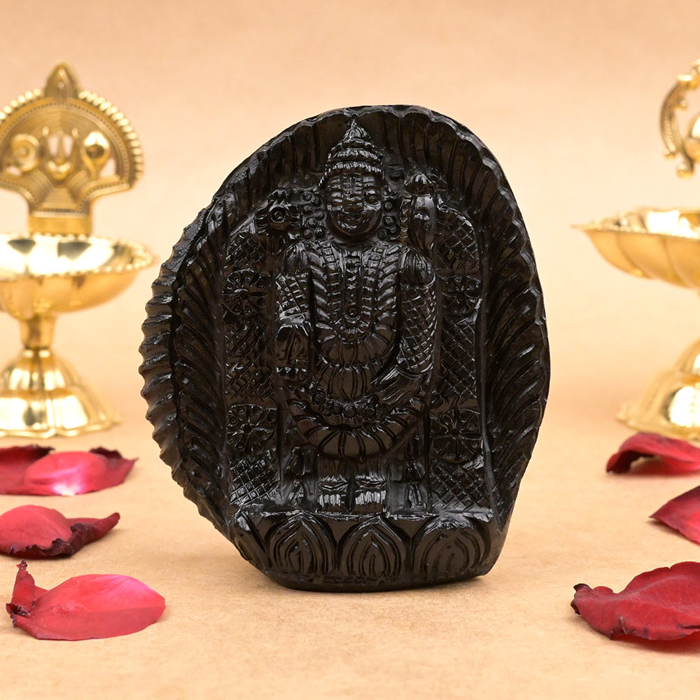 Tirupati Venkateshwara Shaligram Idol