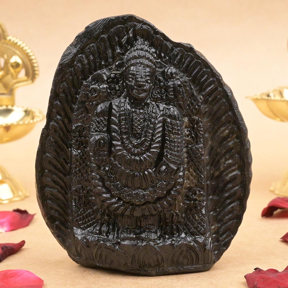Venkatachalapati Tirupati Balaji Shaligram Murti