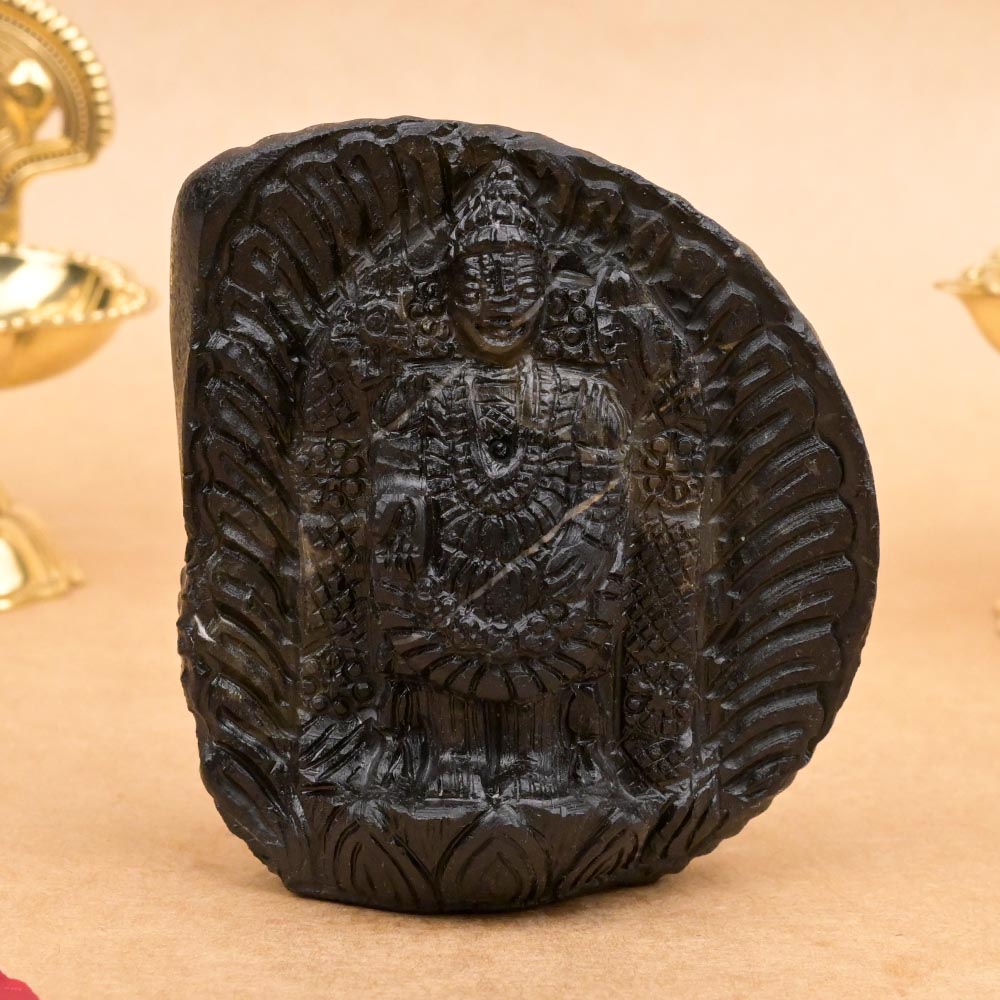 Tirupati Balaji Shaligram Murti