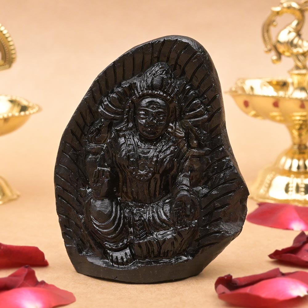 Padmavati Laxmi Shaligram Idol