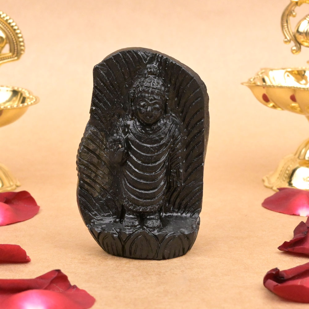 Lord Buddha Shaligram Murti