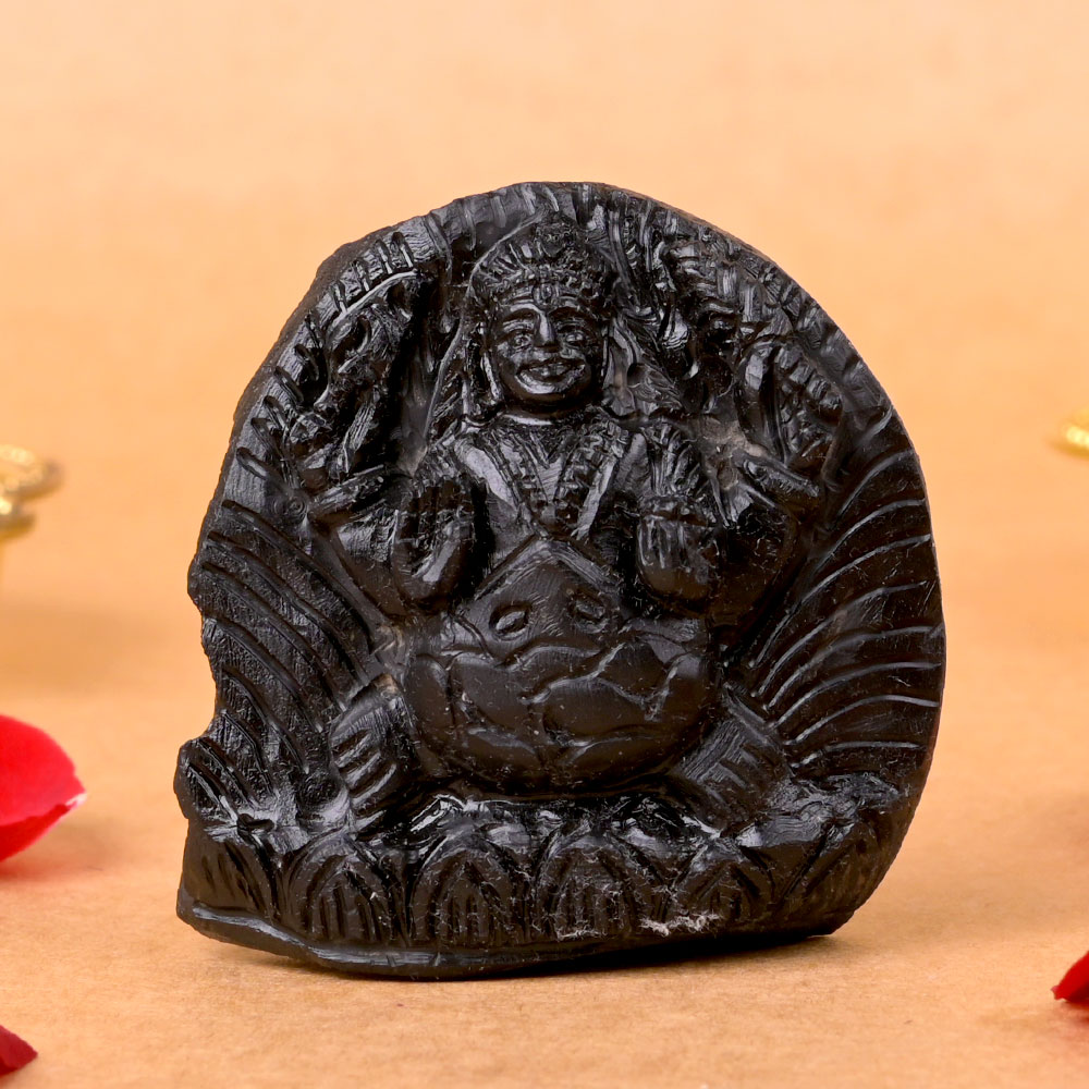 Kurma Shaligram Murti