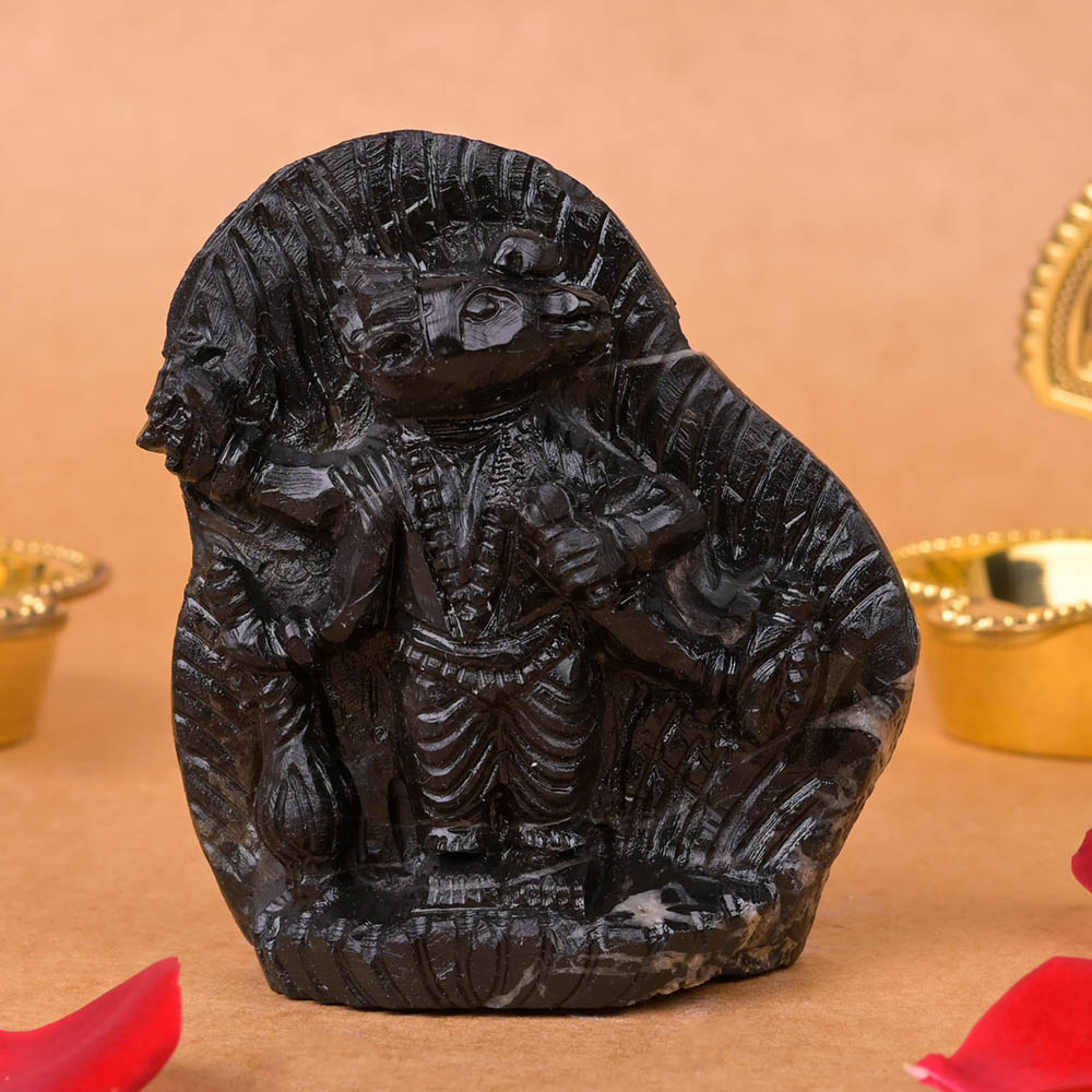 Varaha Shaligram Murti
