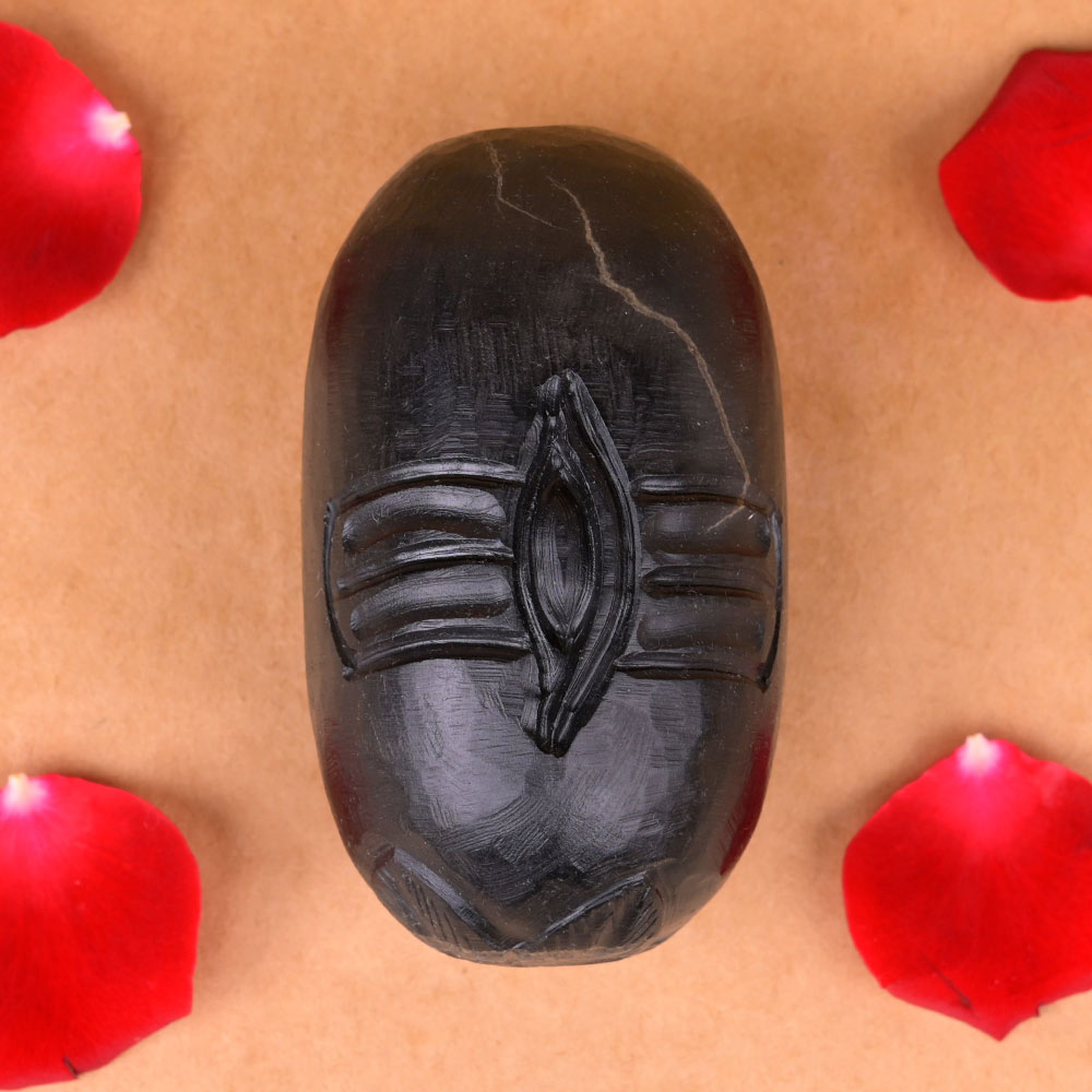 Shivnetra 3rd Eye Shaligram Lingam with Stone Yoni Base