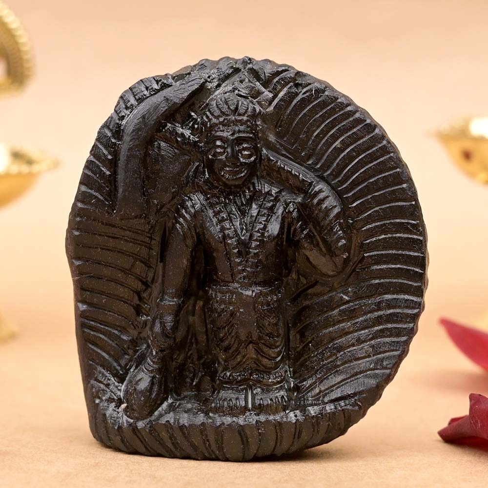 Balrama Shaligram Murti