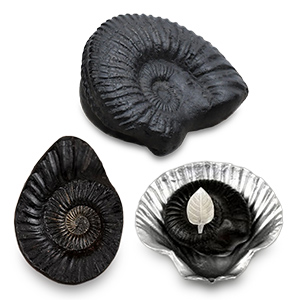 Shaligram Shila