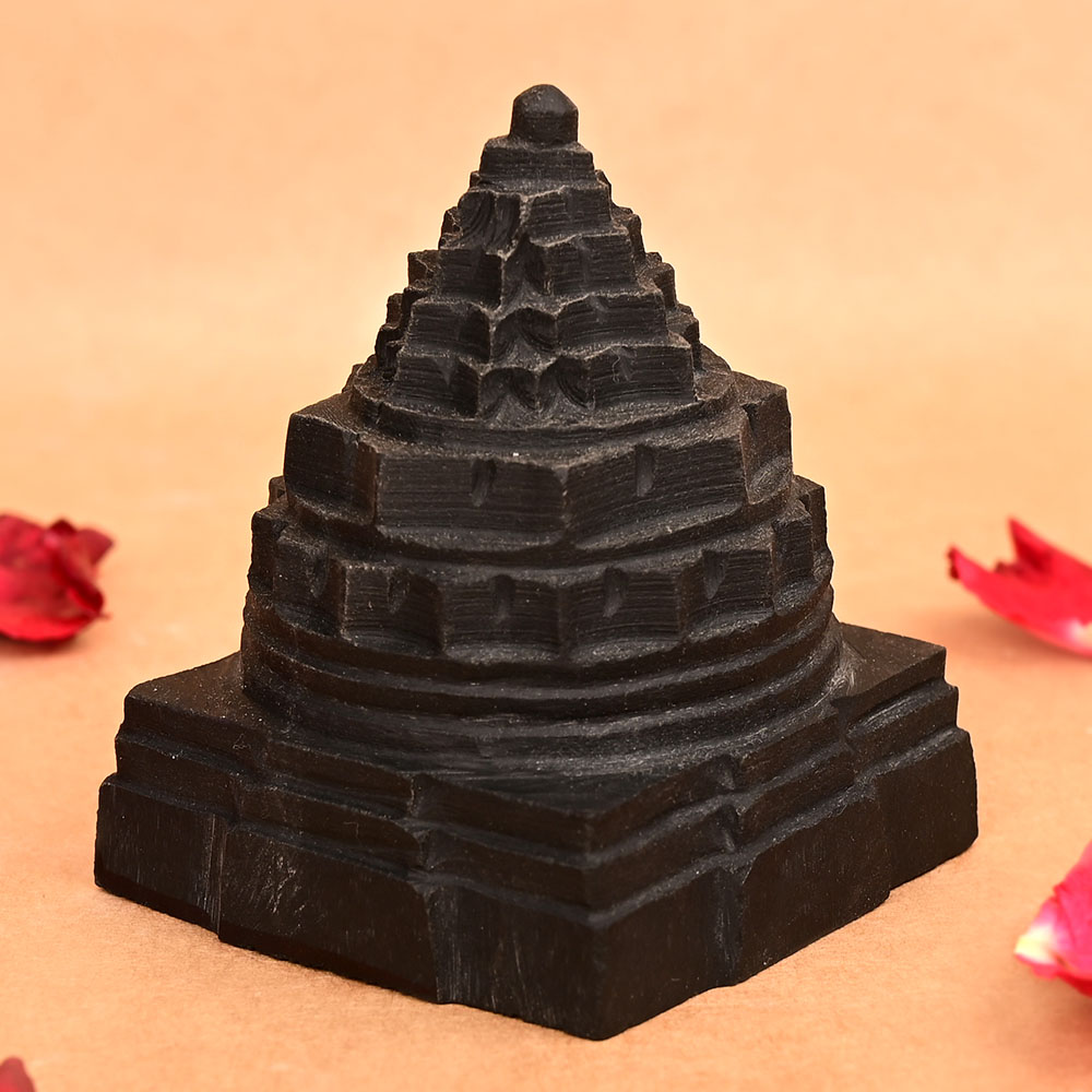 Shaligram Meru Shri Yantra - 390 gms
