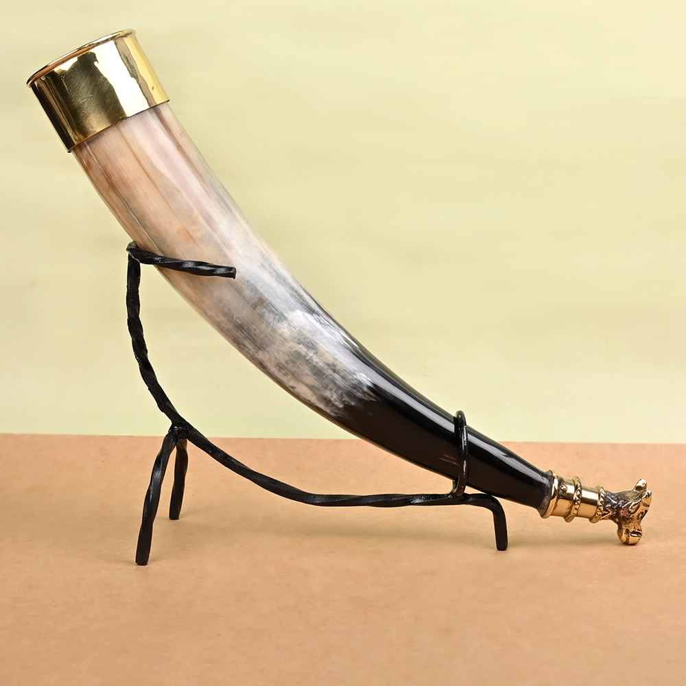 Bull Horn Gaumukhi Shringi for Abhishekam - 262 gms