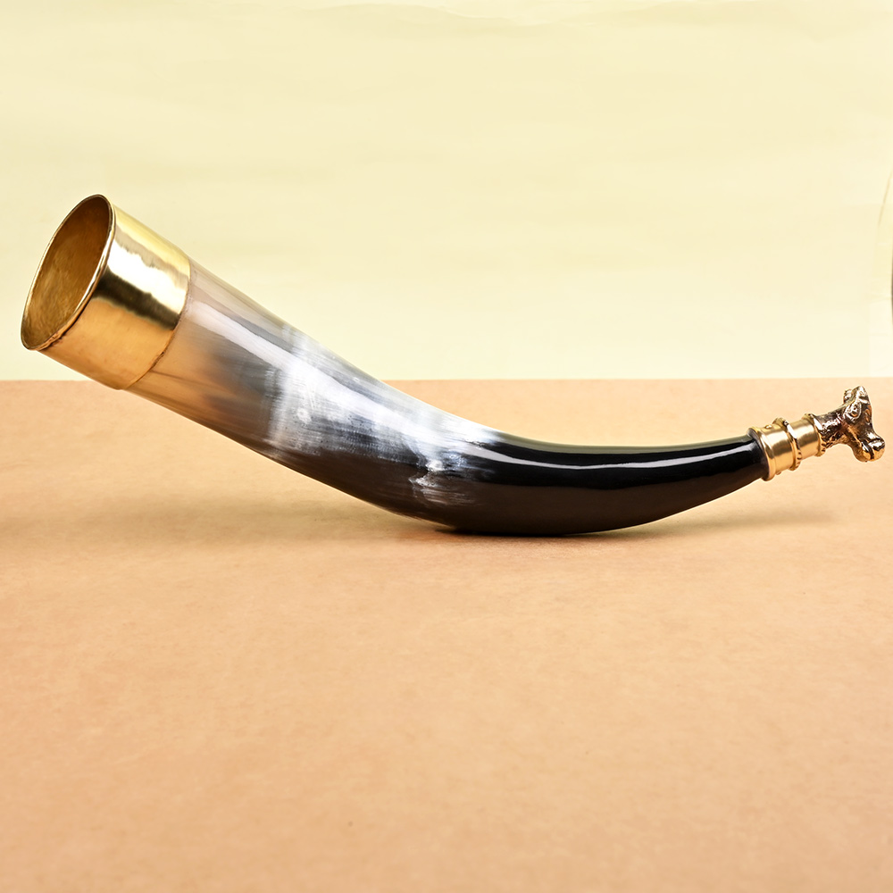 Bull Horn Gaumukhi Shringi for Abhishek - 345 gms