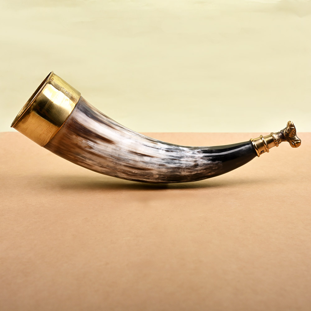 Bull Horn Gaumukhi Shringi for Abhishek - 284 gms