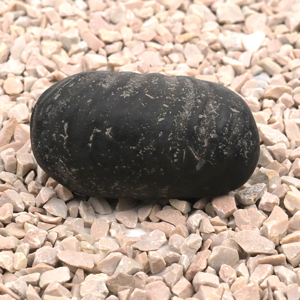 Laxmi Paduka Shaligram Shila
