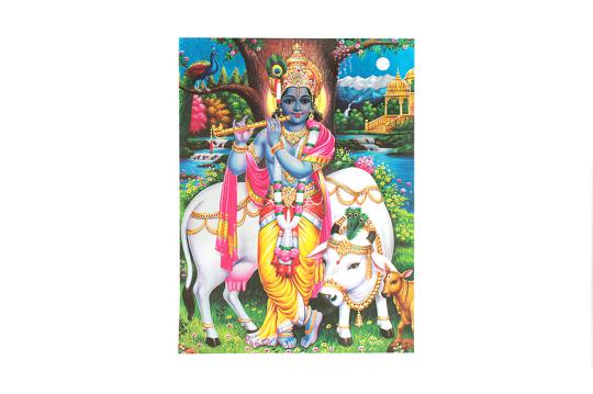 Lord Shri Krishna Photo - Large