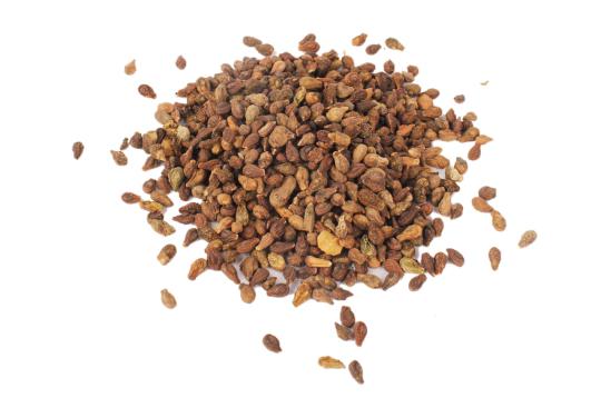 Beej Shivalangi Special