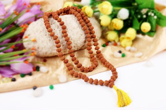 Rare 7 mukhi Mahalaxmi mala - 11mm button shape
