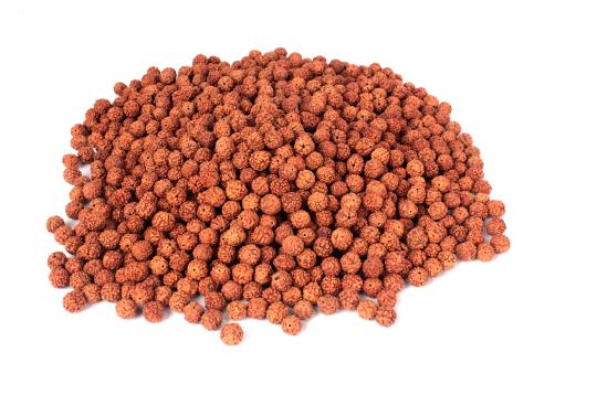Rudraksha Loose Beads Pack - 10mm