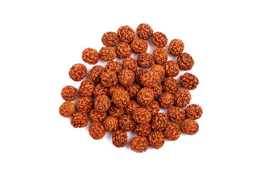 Five Mukhi Loose Beads from Java - 18 mm