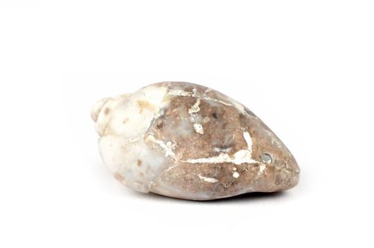 Vedagarbha - The Goddess is the origin of the Vedas - I