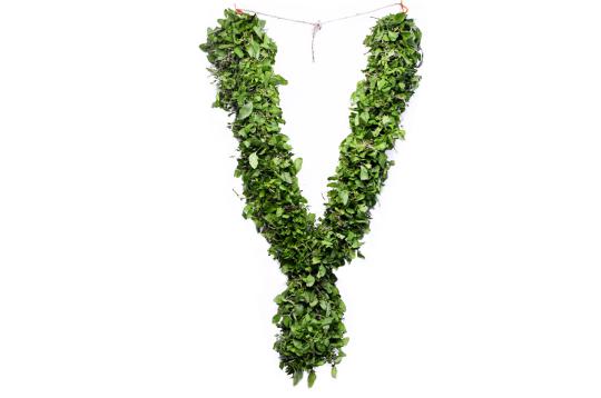 Tulsi Garland
