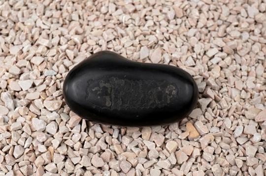 Abhay Mudra Krishna Paduka Kamdev Shivling Crystal Golden Shaligram