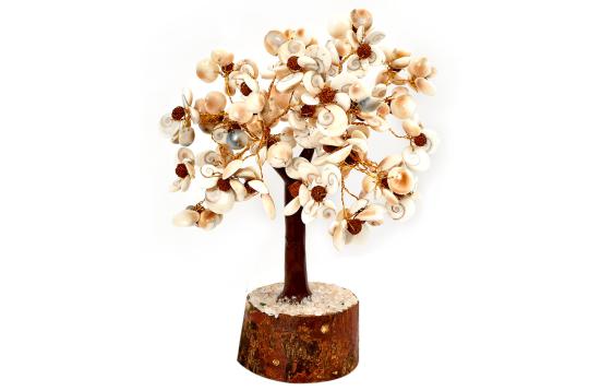 Natural Gomati Chakra with Rudraksha - Chakra Vastu Tree