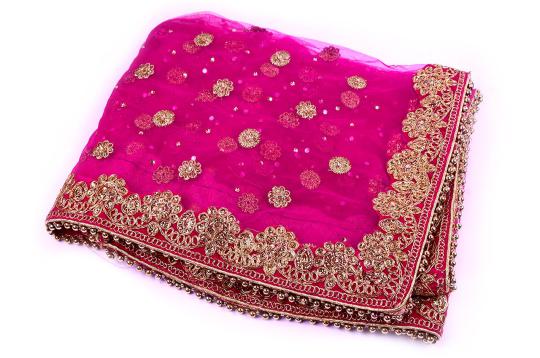 Mata Rani Chunari Pink Net Designer Border & Latkan