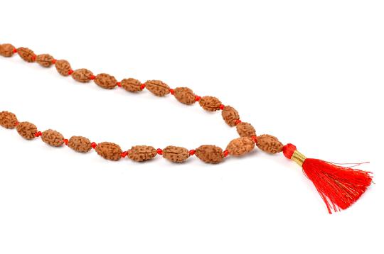 2 mukhi moon mala - 14 mm