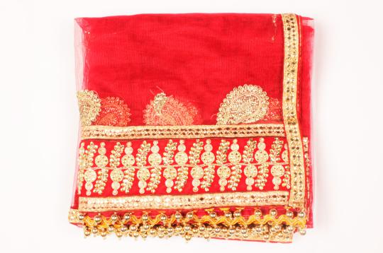 Netted peacock Mata ki Chunri