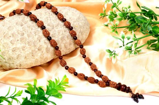 3 mukhi Mahajwala mala with Red Sandalwood beads