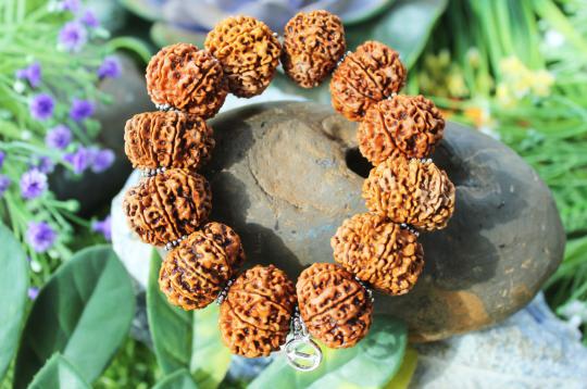 14 Mukhi Hanuman Bracelet