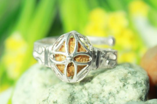 18 Mukhi Rudra Ring