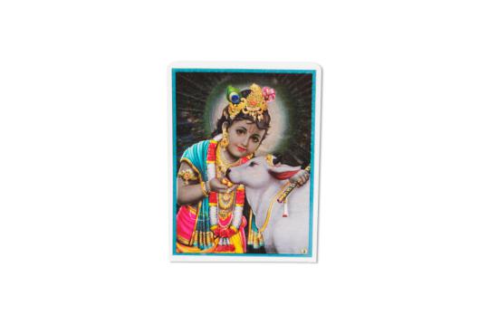 Bal Krishna Glittering Photo