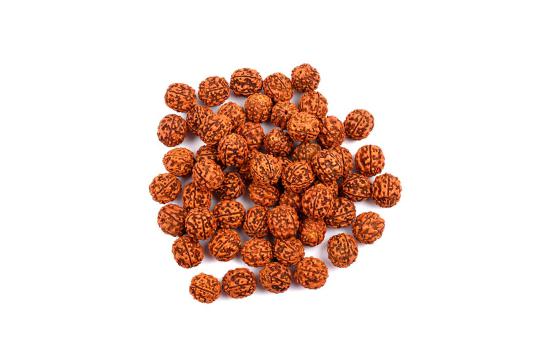 Five Mukhi Loose Beads from Java - 15 mm