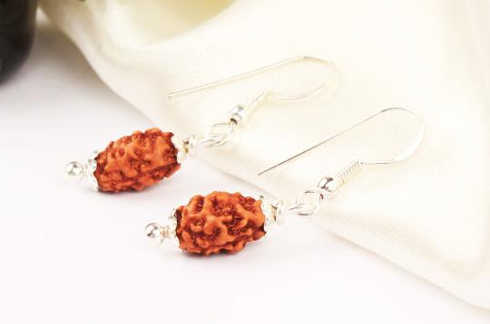 Earrings of 2 mukhi Rudraksha