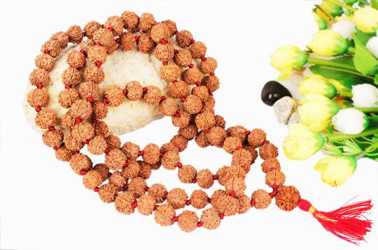 5 mukhi Rudraksha mala
