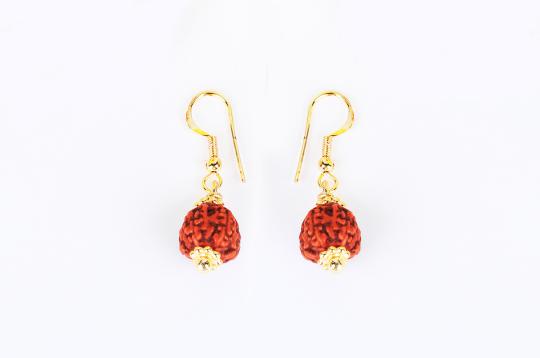 Chikna Rudraksha and Gold Earring Set with Gold Chakri - 11mm